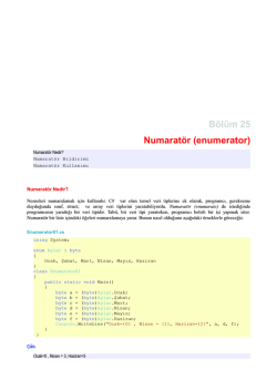 B&ouml;l&uuml;m 25 Numarat&ouml;r (enumerator)
