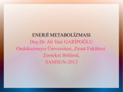 ME (MJ/kg KM) - Ali Vaiz Garipoğlu