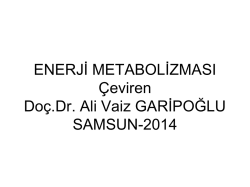 enerji metabolizması çeviri-15 şubat 2014