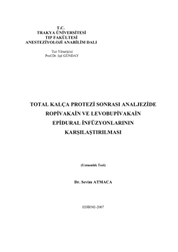 SEVİM ATMACA - A&ccedil;ık Erişim Sistemi