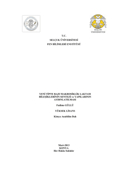 tc selçuk üniversitesi fen bilimleri enstitüsü yeni tipte bazı