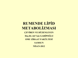 Lipid MetabolizmasıÇEVİRİ- 2 NİSAN 2012