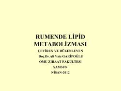 Lipid Metabolizması&Ccedil;EVİRİ- 2 NİSAN 2012