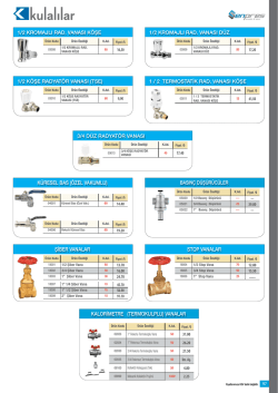 K&Uuml;RESEL BAS (&Ouml;ZEL VAKUMLU) ŞİBER VANALAR
