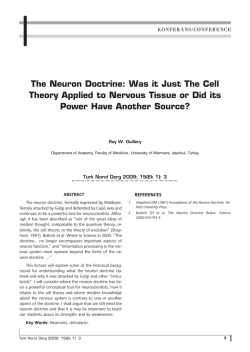 The Neuron Doctrine: Was it Just The Cell Theory
