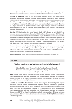 Silybum marianum Antioksidan Aktivitesinin Belirlenmesi