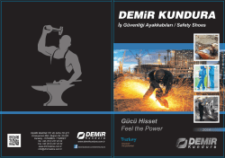 2014 Katalog - Demir Kundura