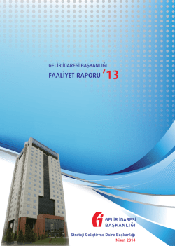 Gelir İdaresi Başkanlığının 2013 Yılına Ait Faaliyet Raporu