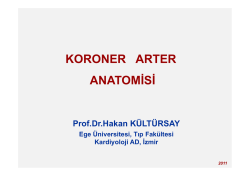 KORONER ARTER ANATOMİSİ