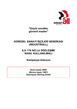d&ouml;k&uuml;manı indirmek i&ccedil;in resme tıklayın - Maden-İş