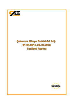 2013 - &Ccedil;ukurova Kimya