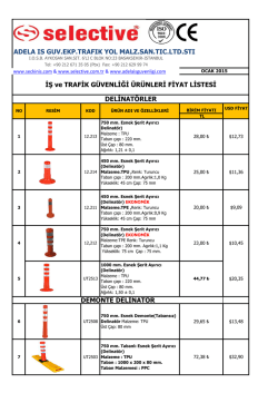 İŞ ve TRAFİK G&Uuml;VENLİĞİ &Uuml;R&Uuml;NLERİ FİYAT LİSTESİ DEMONTE