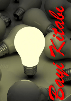 BOR&Ccedil; Eski SAYA&Ccedil; - Pulsever Enerji