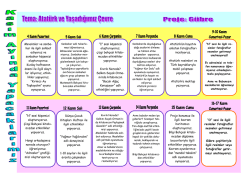 “N” sesi köşemizi oluşturuyoruz. Çizgi Bahçesi kitabı