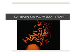 15. B&Ouml;L&Uuml;M - Prof. Dr. Bektaş TEPE