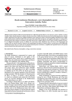 Reseda malatyana (Resedaceae), a new chasmophytic