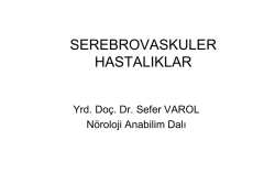 arteria serebri media