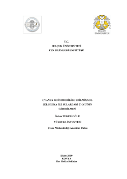 1 T.C. SELÇUK ÜNĠVERSĠTESĠ FEN BĠLĠMLERĠ ENSTĠTÜSÜ