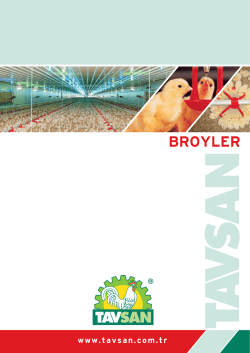 BROYLER - Tavsan Tavuk&ccedil;uluk Ekipman San. ve Tic. A.Ş.