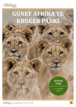 G&Uuml;NEY AFRİKA VE KRUGER PARKI
