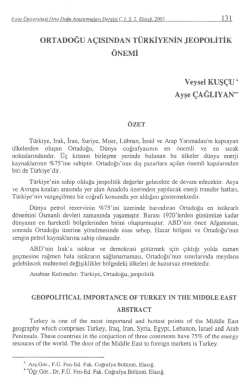 131 ORTADOĞU A&Ccedil;ISINDAN T&Uuml;RKİYENİN