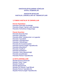 teslim / tesellüm tutanağı
