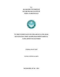 tc balıkesir &uuml;niversitesi fen bilimleri enstit&uuml;s&uuml; fizik anabilim dalı &uuml;&ccedil;
