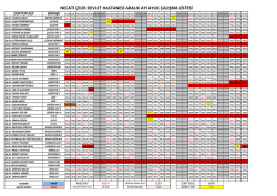 Doktor Çalisma Cetveli - Gölcük Devlet Hastanesi