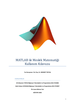 MATLAB ile Meslek Matematiği Kullanım Kılavuzu