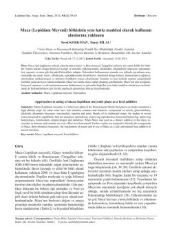 Maca (Lepidium Meyenii) bitkisinin yem katkı