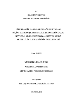 YÜKSEK LİSANS TEZİ - Okan Üniversitesi eArşiv