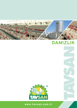 Damızlık - Tavsan Tavuk&ccedil;uluk Ekipman San. ve Tic. A.Ş.