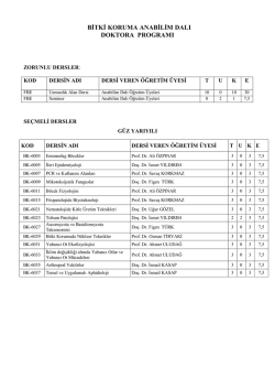 Doktora Programı