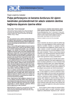 Pulpa perforasyonu ve kanama durdurucu bir