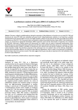 A preliminary analysis of the gene all0012 of Anabaena