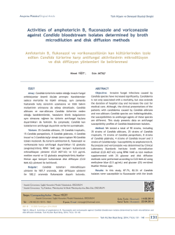 Activities of amphotericin B, fluconazole and