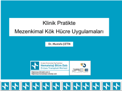 2014 - Prof.Dr. Mustafa &Ccedil;etin