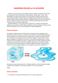 Download File - Bukalemun.com