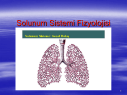 Solunum Sistemi Fizyolojisi
