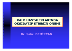 (Microsoft PowerPoint - SEM\335NER