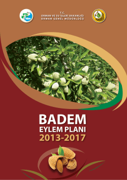 Badem Eylem Planı - Orman Genel Müdürlüğü