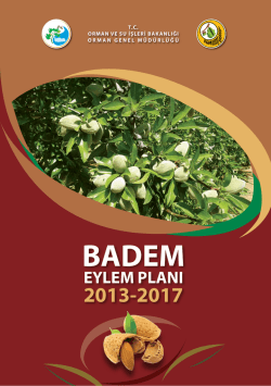 Badem Eylem Planı - Orman Genel M&uuml;d&uuml;rl&uuml;ğ&uuml;