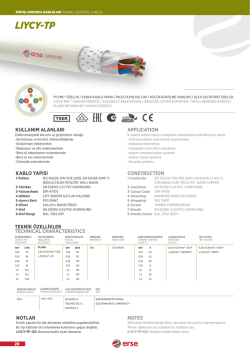 lıycy-tp - Erse Kablo