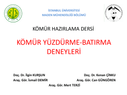 k&ouml;m&uuml;r y&uuml;zd&uuml;rme batırma - İstanbul &Uuml;niversitesi