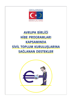 AB Hibe Programlarının Uygulaması ile İlgili Kuruluşlar