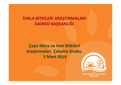 &Ccedil;MYB_Birg&uuml;l G&uuml;ner