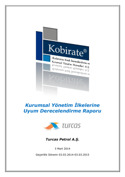 Kurumsal Y&ouml;netim İlkelerine Uyum Derecelendirme Raporu