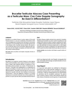 Brucellar Testicular Abscess Case Presenting as a