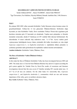 KELEBEKLER VADİSİ FLORASI