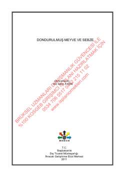 2014 dondurulmuş meyve kosgeb yeni girişimci iş planı &ouml;rneği
